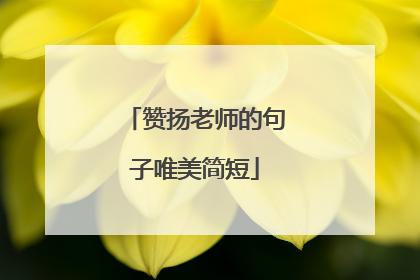 赞扬老师的句子唯美简短