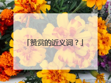 赞赏的近义词？