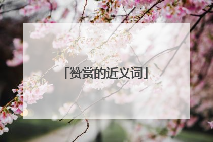 赞赏的近义词