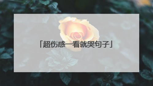 超伤感一看就哭句子