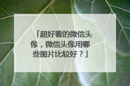 超好看的微信头像，微信头像用哪些图片比较好？