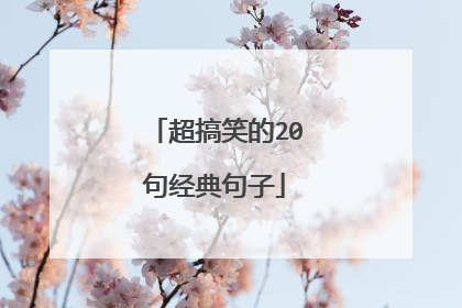 超搞笑的20句经典句子