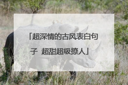 超深情的古风表白句子 超甜超级撩人