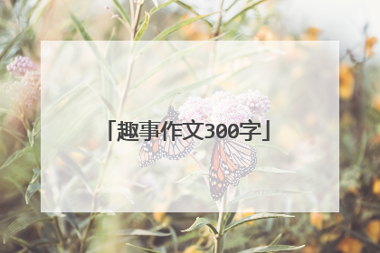趣事作文300字