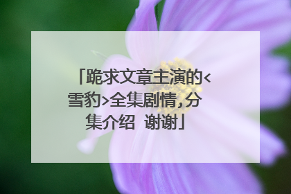 跪求文章主演的<雪豹>全集剧情,分集介绍 谢谢