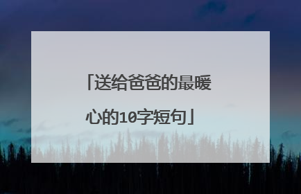 送给爸爸的最暖心的10字短句