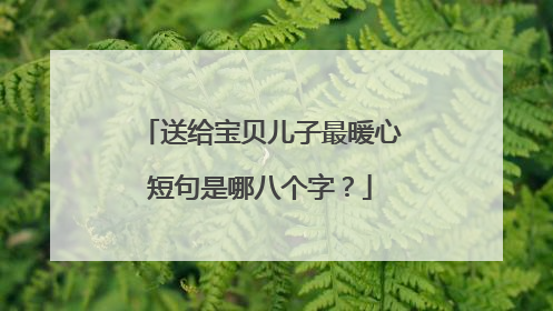 送给宝贝儿子最暖心短句是哪八个字？