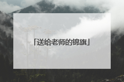 送给老师的锦旗