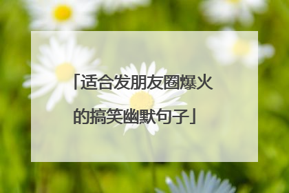 适合发朋友圈爆火的搞笑幽默句子