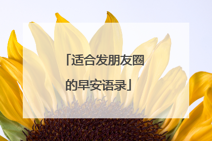 适合发朋友圈的早安语录