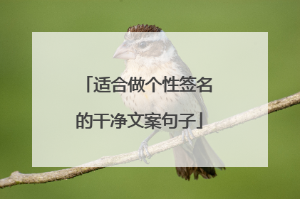 适合做个性签名的干净文案句子