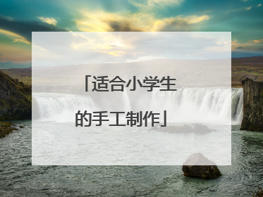 适合小学生的手工制作