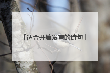 适合开篇发言的诗句