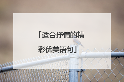适合抒情的精彩优美语句