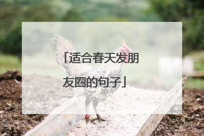 适合春天发朋友圈的句子