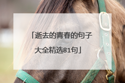 逝去的青春的句子大全精选81句