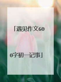 遇见作文600字初一记事