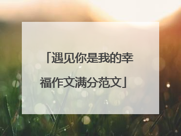 遇见你是我的幸福作文满分范文