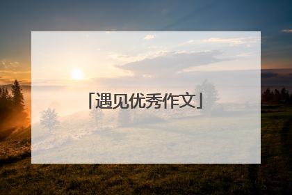 遇见优秀作文
