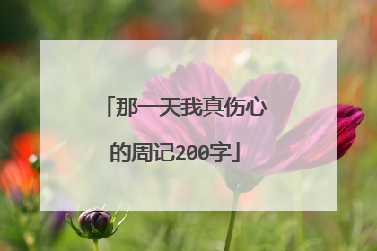 那一天我真伤心的周记200字