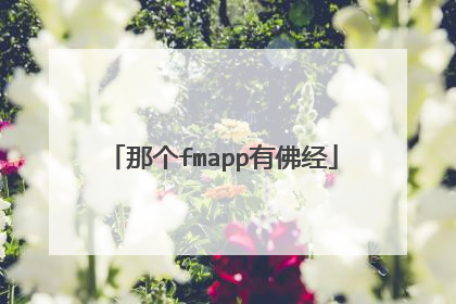 那个fmapp有佛经