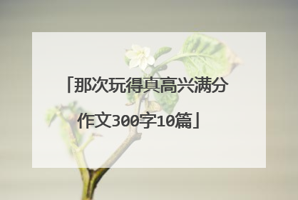 那次玩得真高兴满分作文300字10篇