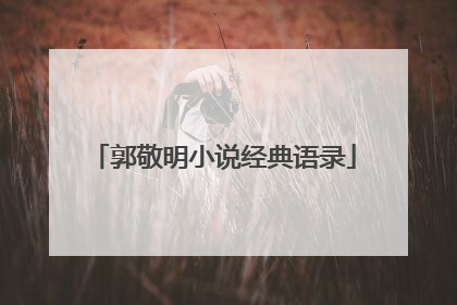 郭敬明小说经典语录