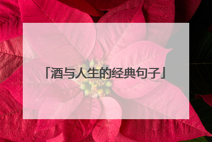 酒与人生的经典句子