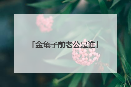 金龟子前老公是谁