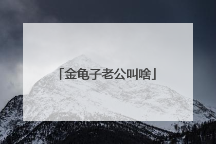 金龟子老公叫啥