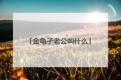 金龟孑老公叫什么