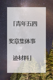 青年五四奖章集体事迹材料