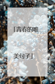 青春的唯美句子