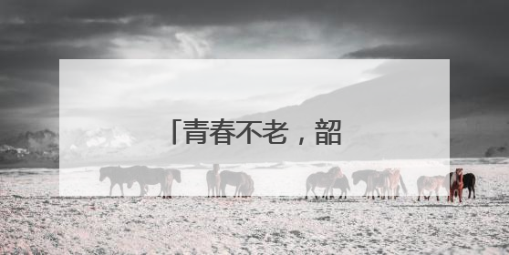 青春不老，韶华不负演讲稿