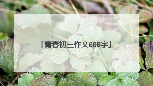 青春初三作文600字