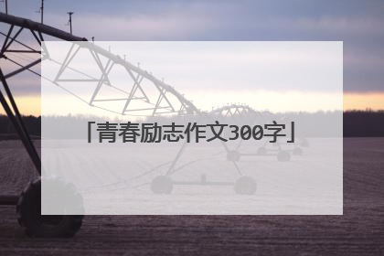 青春励志作文300字