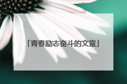 青春励志奋斗的文章