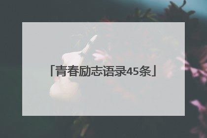 青春励志语录45条