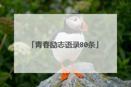 青春励志语录80条