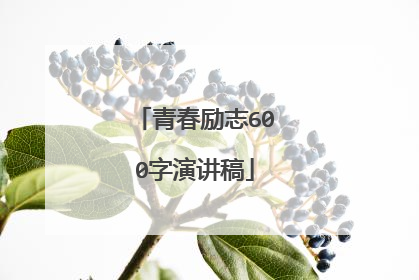 青春励志600字演讲稿