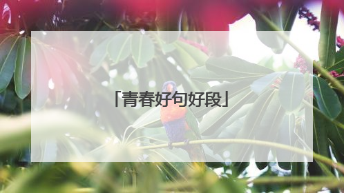 青春好句好段