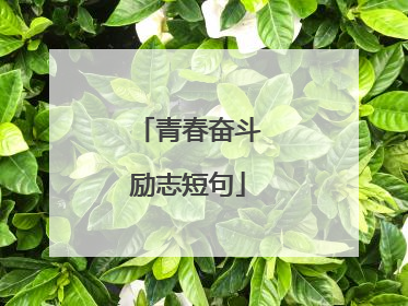 青春奋斗励志短句