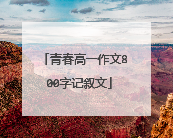 青春高一作文800字记叙文