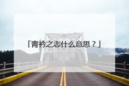 青衿之志什么意思？