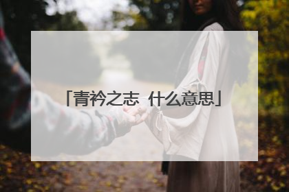 青衿之志 什么意思