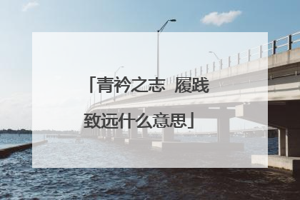 青衿之志 履践致远什么意思
