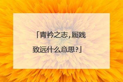 青衿之志,履践致远什么意思?