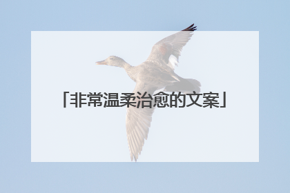 非常温柔治愈的文案