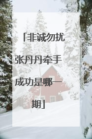 非诚勿扰张丹丹牵手成功是哪一期