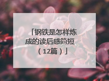 钢铁是怎样炼成的读后感简短（12篇）